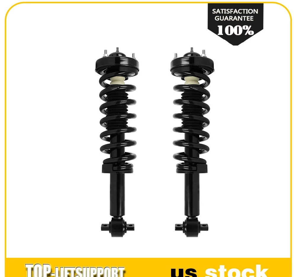 Set of 2 Complete Struts with Coil Springs for Ford F-150 4WD