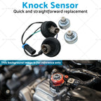 2X Knock Sensors for Chevy Silverado Express GMC (12589867, 213-3521)