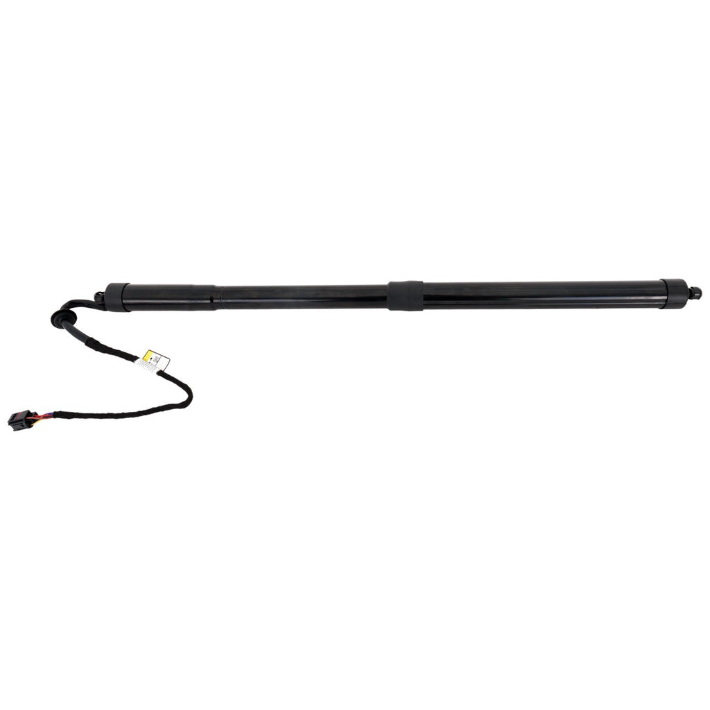 Liftgate Lift Supports for Range Rover Sport