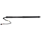 Liftgate Lift Supports for Range Rover Sport