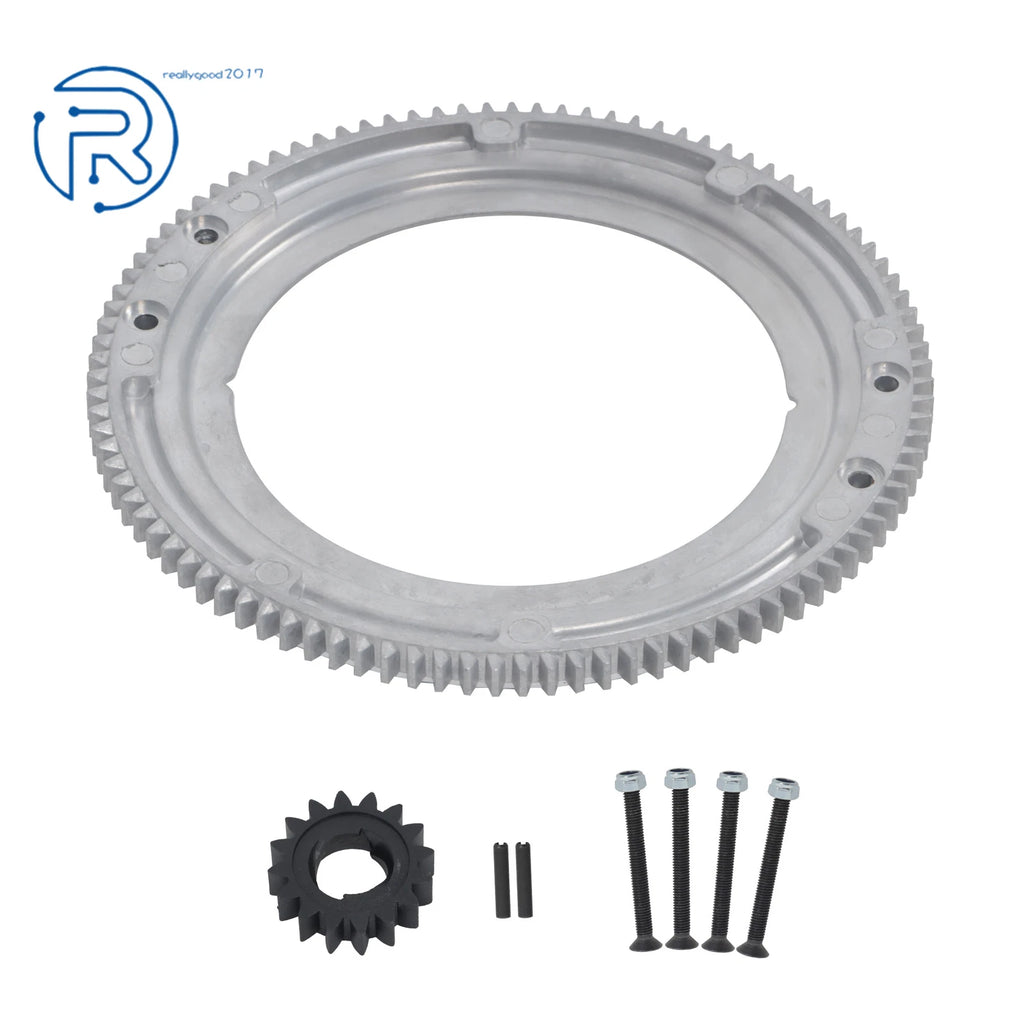 Flywheel Ring Gear for Briggs & Stratton (Various Models)