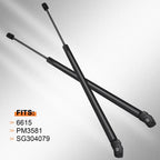 2X Rear Glass Window Lift Supports for Ford Explorer (2006–2010)