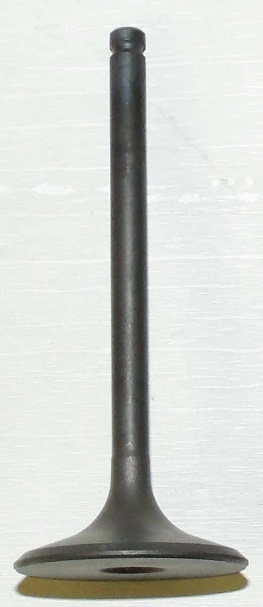 Intake Valve for Honda TRX 400 FW (1995–2003) - 017-024-01