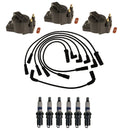 Ignition Wires & Coils Set of 3 with 6 Spark Plugs for Buick Oldsmobile Pontiac (V6)