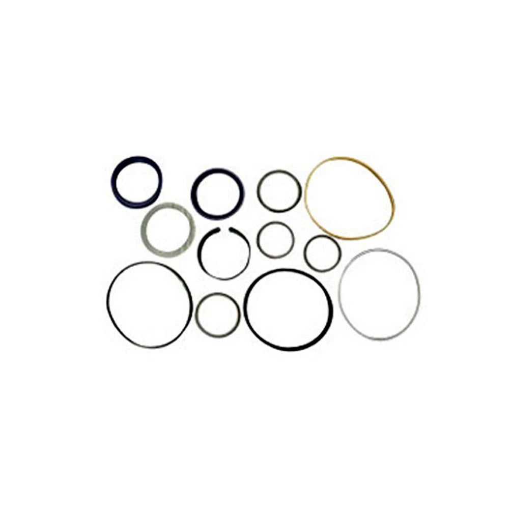 Hydraulic Cylinder Seal Kit for Ford/New Holland (1101-1255)