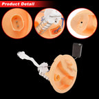Fuel Filter Assembly for BMW 525i/530i E39 (2001–2003) No. 16141183179