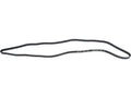 Multi Rib Belt for Jaguar S Type (2003–2008) ZK254VH