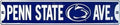 Penn State Avenue Street Sign for Penn State Nitanny Lions (NCAA)