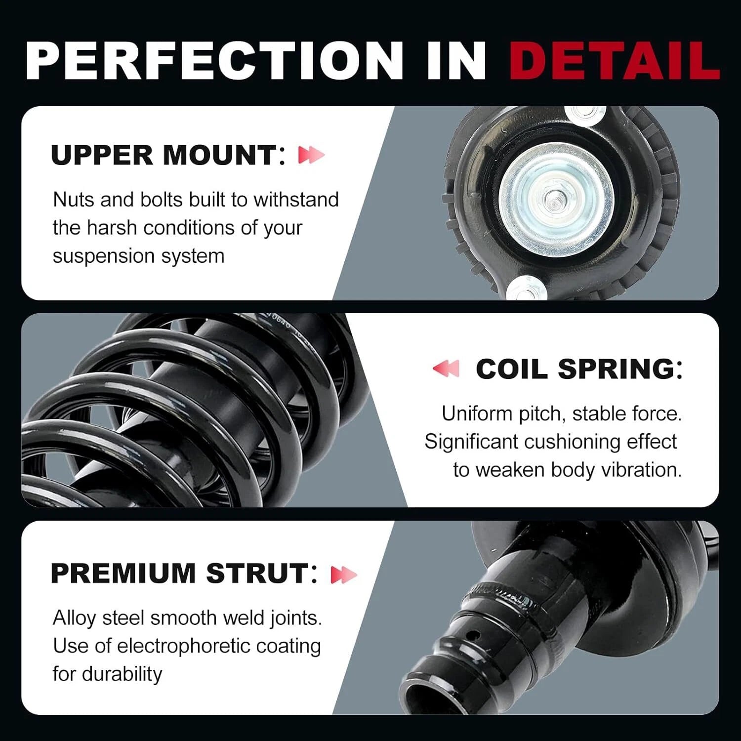 Front Complete Struts Coil Springs for Chevy Trailblazer EXT (2002-2009)