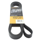 Serpentine Multi-V Belt for Continental Automotive (4081261)