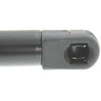 Set of 2 Hood Lift Supports for Nissan (2000–2006)