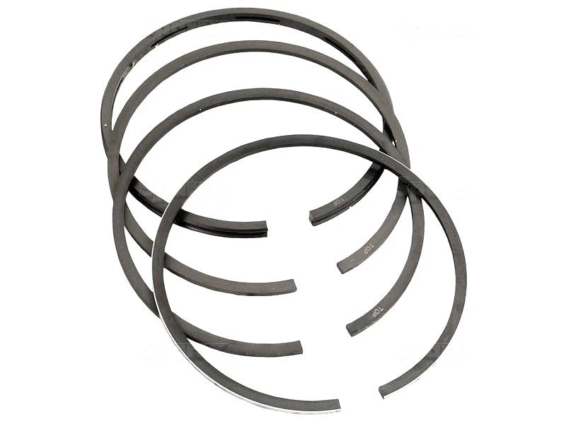 Piston Ring Set (0.020) for David Brown 1200 1210 1212 1410 1412
