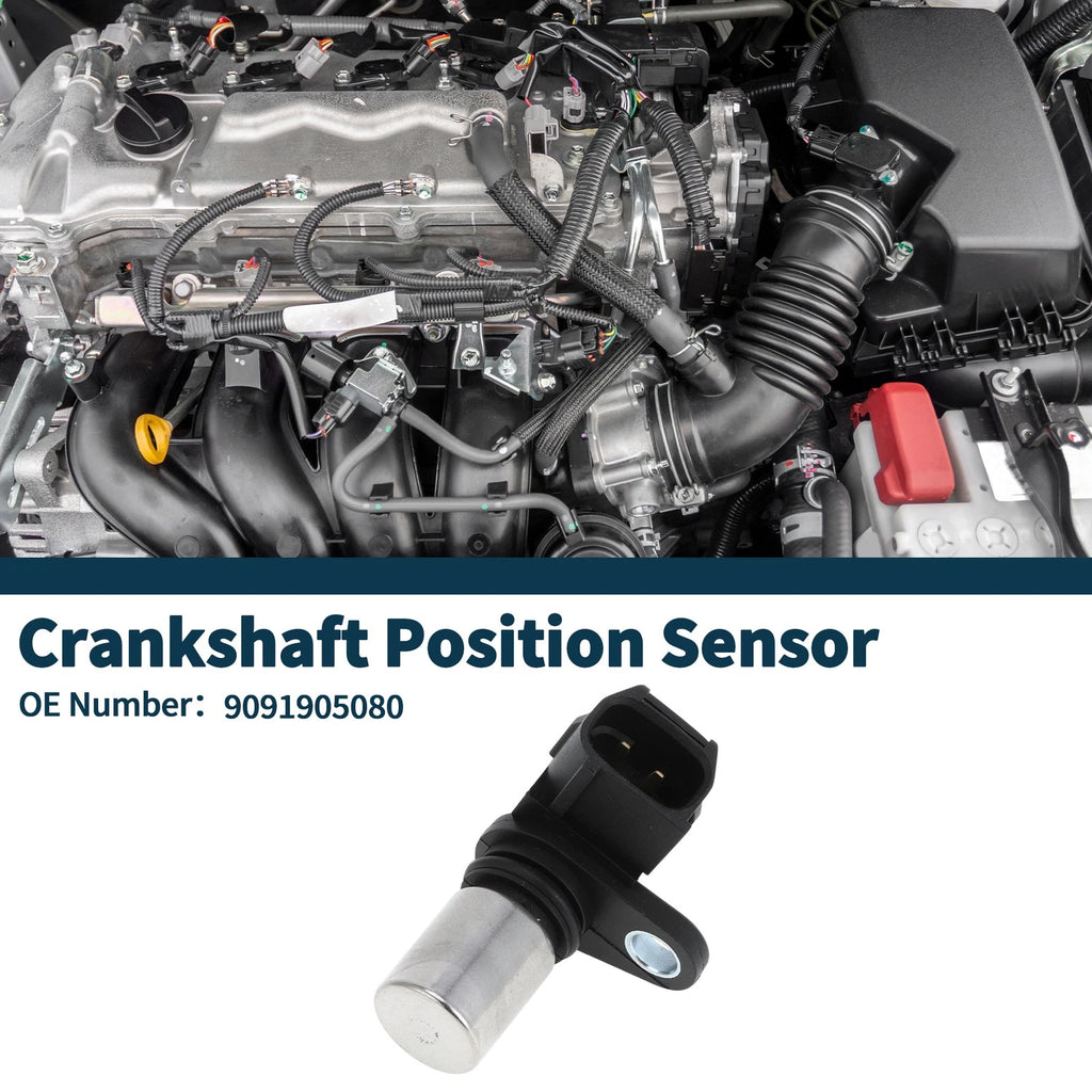 Crankshaft Position Sensor for Toyota Elios Liva Cross (No. 9091905080)