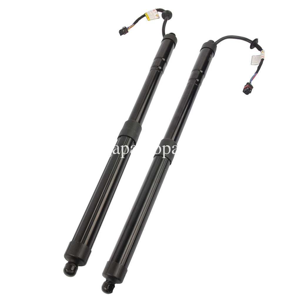 Set of 2 Tailgate Lift Supports for Hyundai Santa Fe (2013–2019)