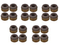 Set of 5 Valve Stem Seals Kit for Mercedes W163 W209 W210 R170