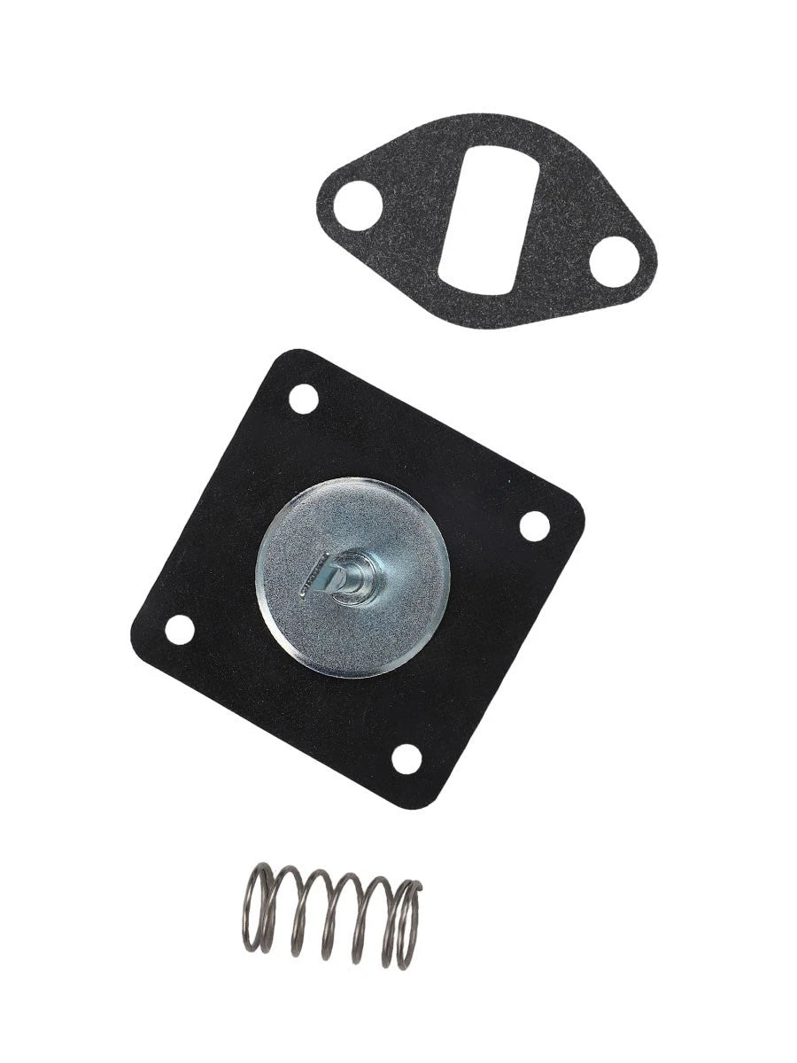 Fuel Pump Rebuild Kit with Spring for K301 K321 K341 K181 K161