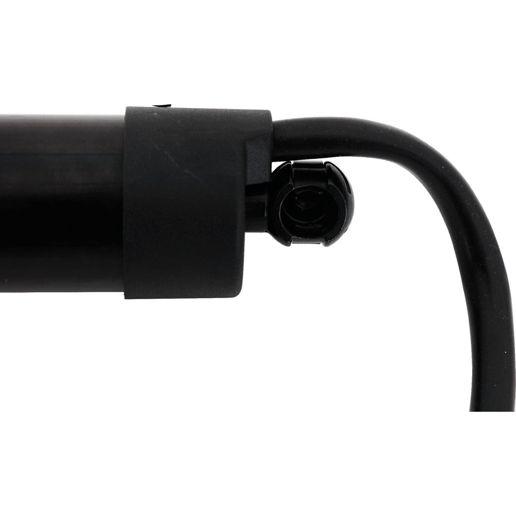 Liftgate Lift Supports for Toyota RAV4 (2019–2023)