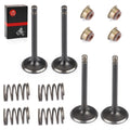 Intake & Exhaust Valve Set with Seals for EZGO Gas 4 Stroke 295cc 350cc (1996–Present)