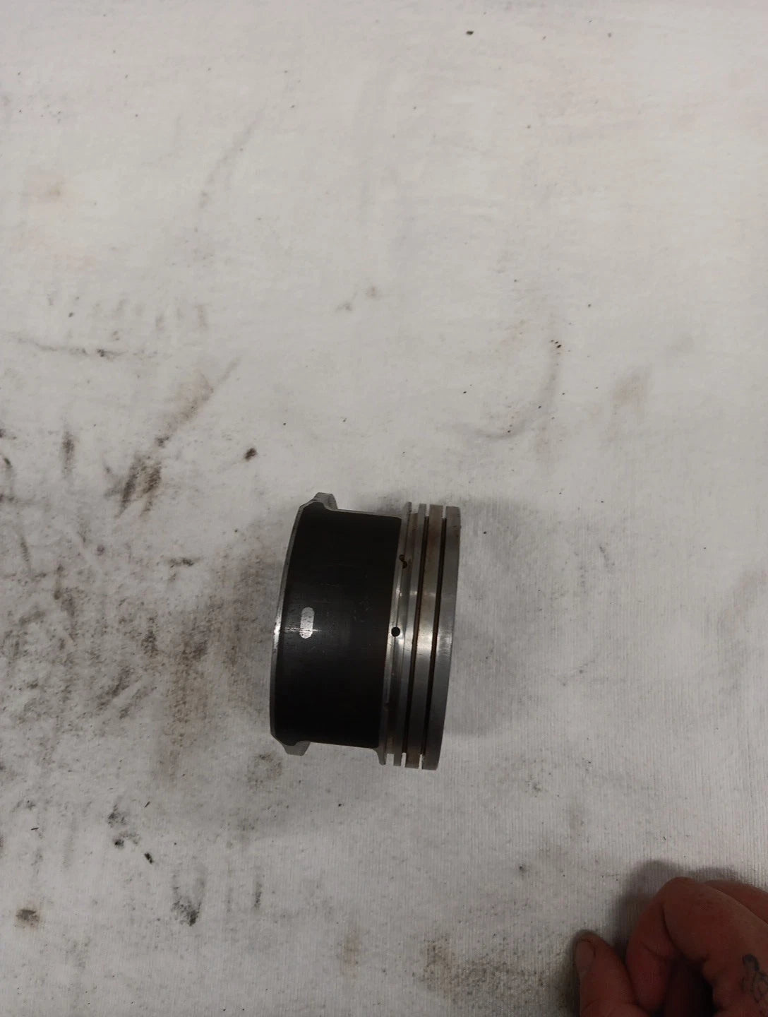 Piston Set with Wrist Pins for Harley Davidson Big Twin (1999) #22095-99B