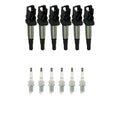 Set of 6 NGK Ignition Coils & Platinum Spark Plugs for BMW E46 E39 E83 E53 E85