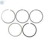 Big Bore Cylinder Piston Gasket Kit for Honda TRX400EX (1999-2008)