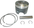 Piston Kit for Johnson Evinrude 75-175 Hp Ficht (.010 Over) (100-133-04SK, 5000813)