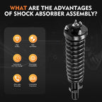 2X Complete Struts Shocks Springs & Mounts for Honda Accord (1994–1997)