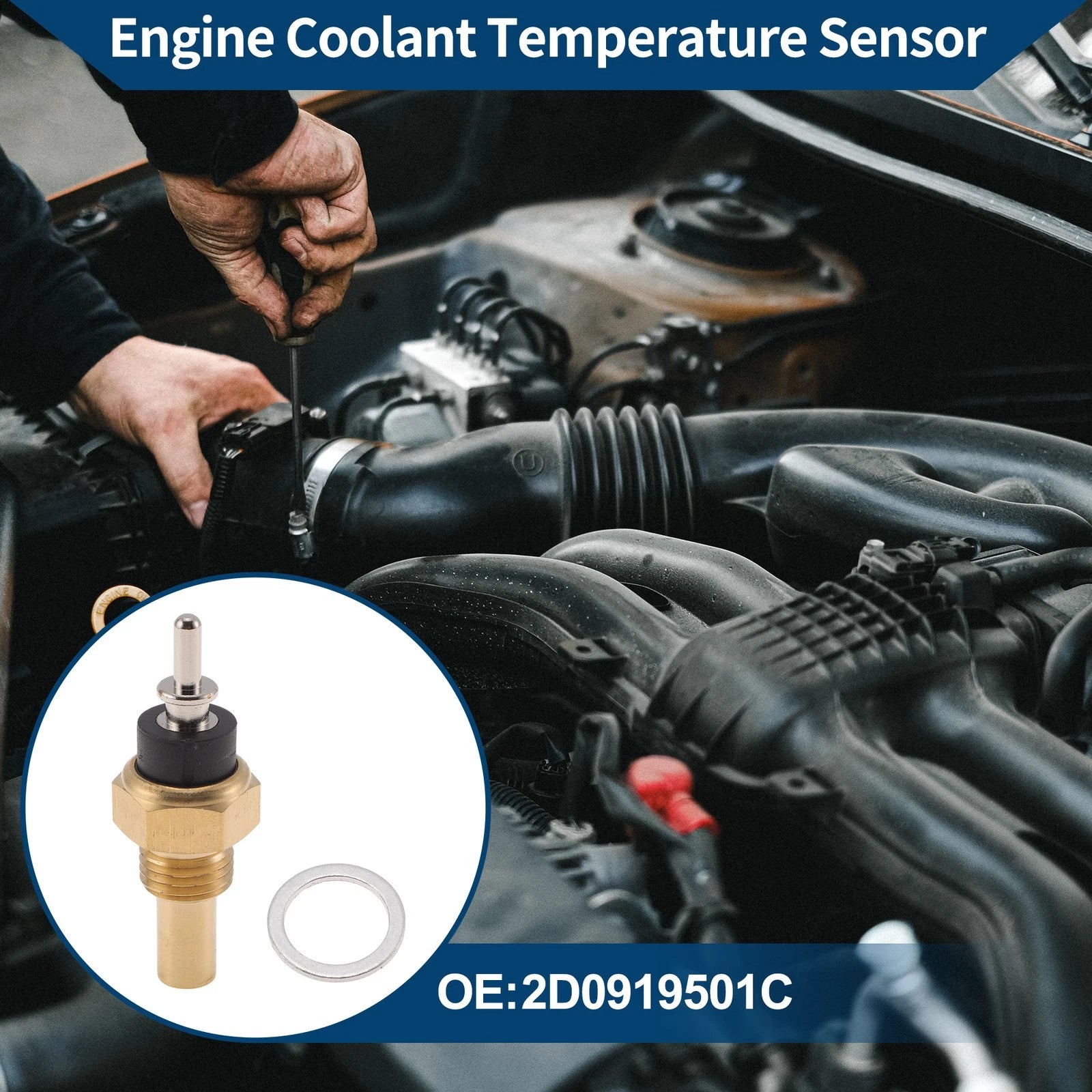 Engine Coolant Temperature Sensor   2D0919501C