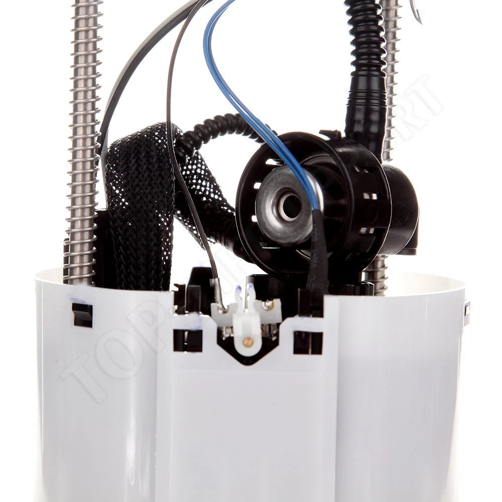 Fuel Pump Assembly for Chevrolet Silverado 1500 (2009)