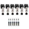 Set of 6 Ignition Coils & Iridium Spark Plugs for Audi Q7, VW Atlas V6
