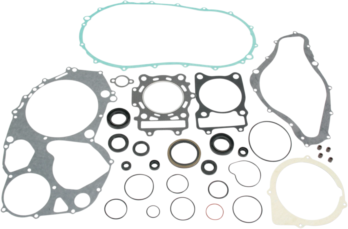 Motor Gasket Kit with Oil Seal for Arctic Cat/Suzuki (811839mse)