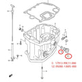2pcs Water Flush Plug for Suzuki 4 Stroke 25-140 HP Outboard (17913-99E12, 17913-99E11)