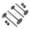 Intake & Exhaust Valve Set with Seals for Honda CRF250X (2004–2017), CRF250R (2004–2007)