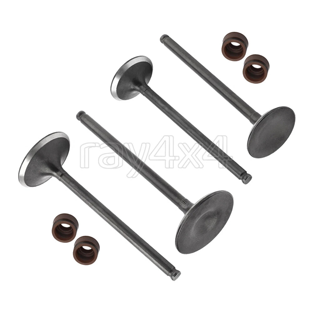 Intake & Exhaust Valve Set with Seals for Honda CRF250X (2004–2017), CRF250R (2004–2007)