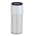 Air Filter P181050 for