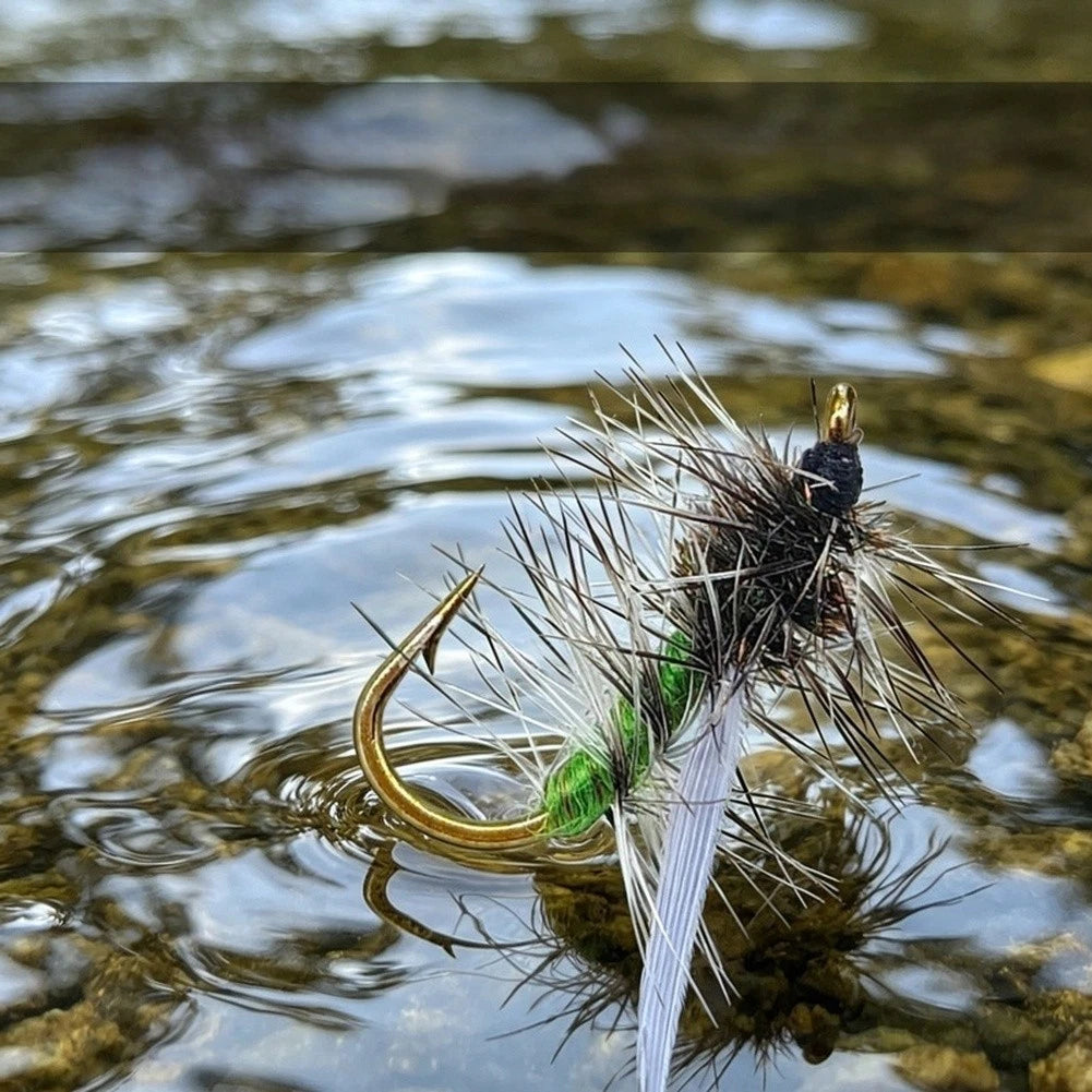 5 Pack Stonefly Dry Fly for Trout (WY1090)