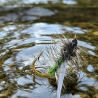 5 Pack Stonefly Dry Fly for Trout (WY1090)
