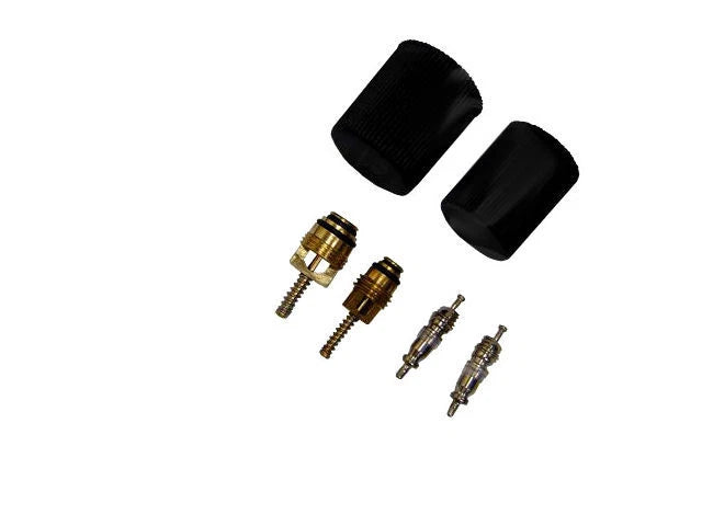 A/C System Valve Core and Cap Kit for Mazda Tribute (2001–2006, 2008–2011) RT845WH
