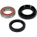 Pivot Works Wheel Bearing for