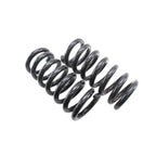 Set of 2 Coil Springs for Dodge Plymouth (4121252)