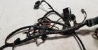 Engine Management PCM Harness for Jaguar XJ8L XJ8 VDP (2001) LNG3350EB