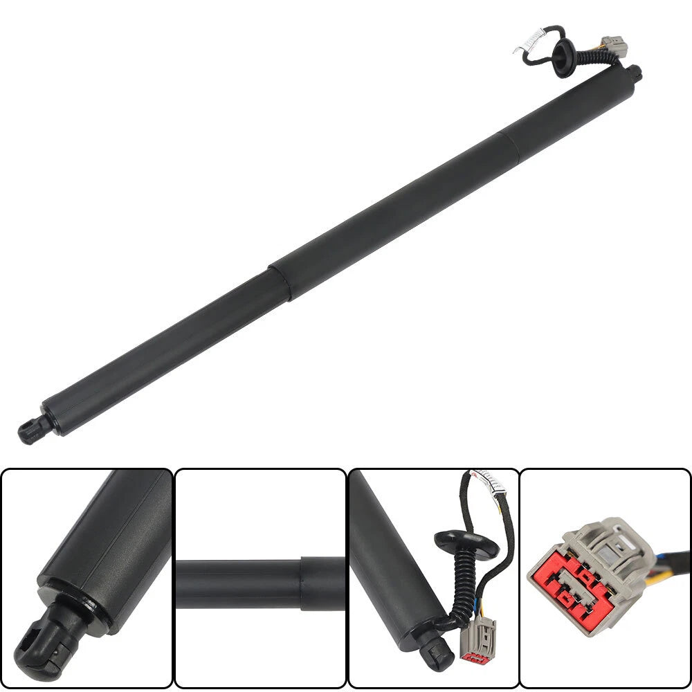 2X Rear Tailgate Power Lift Support Strut for Ford Escape (2013-2019)