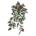 Artificial Plants 15" Faux Peperomia Hanging (Suitable for Any Model)