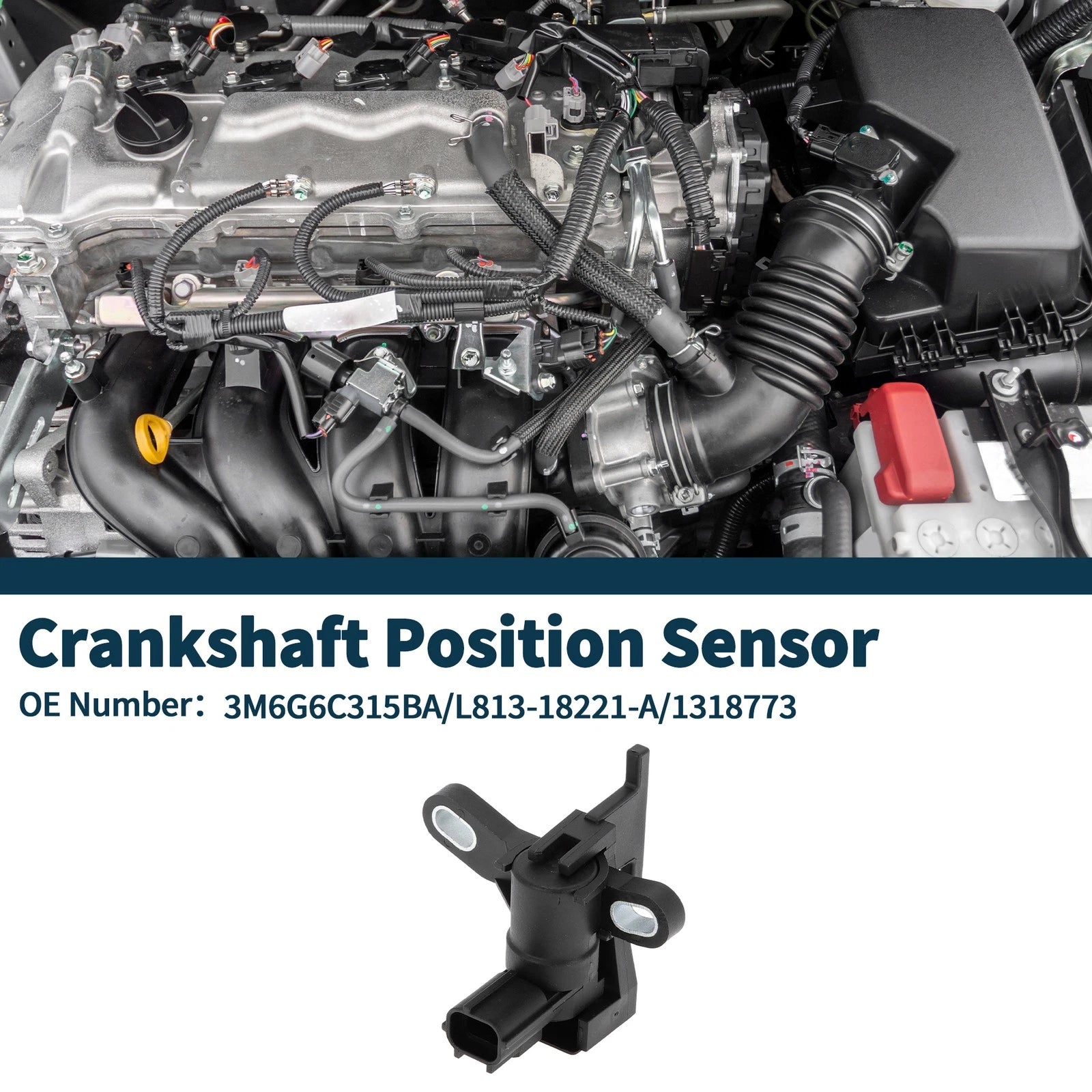 1 Pc Crankshaft Position Sensor No.L813-18221-A for Mazda Tribute (2009–2011)