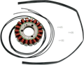 Stator for Suzuki (21-309)