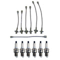 Denso Wire Set & 6 Platinum Spark Plugs for Dodge 3.7L L6 (2002–2009)