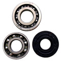 Injection Pump Bearing & Seal Kit for Fordson Major (1950–1964)