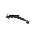 Control Arm Pair for Nissan Maxima A32 (1995–1999)