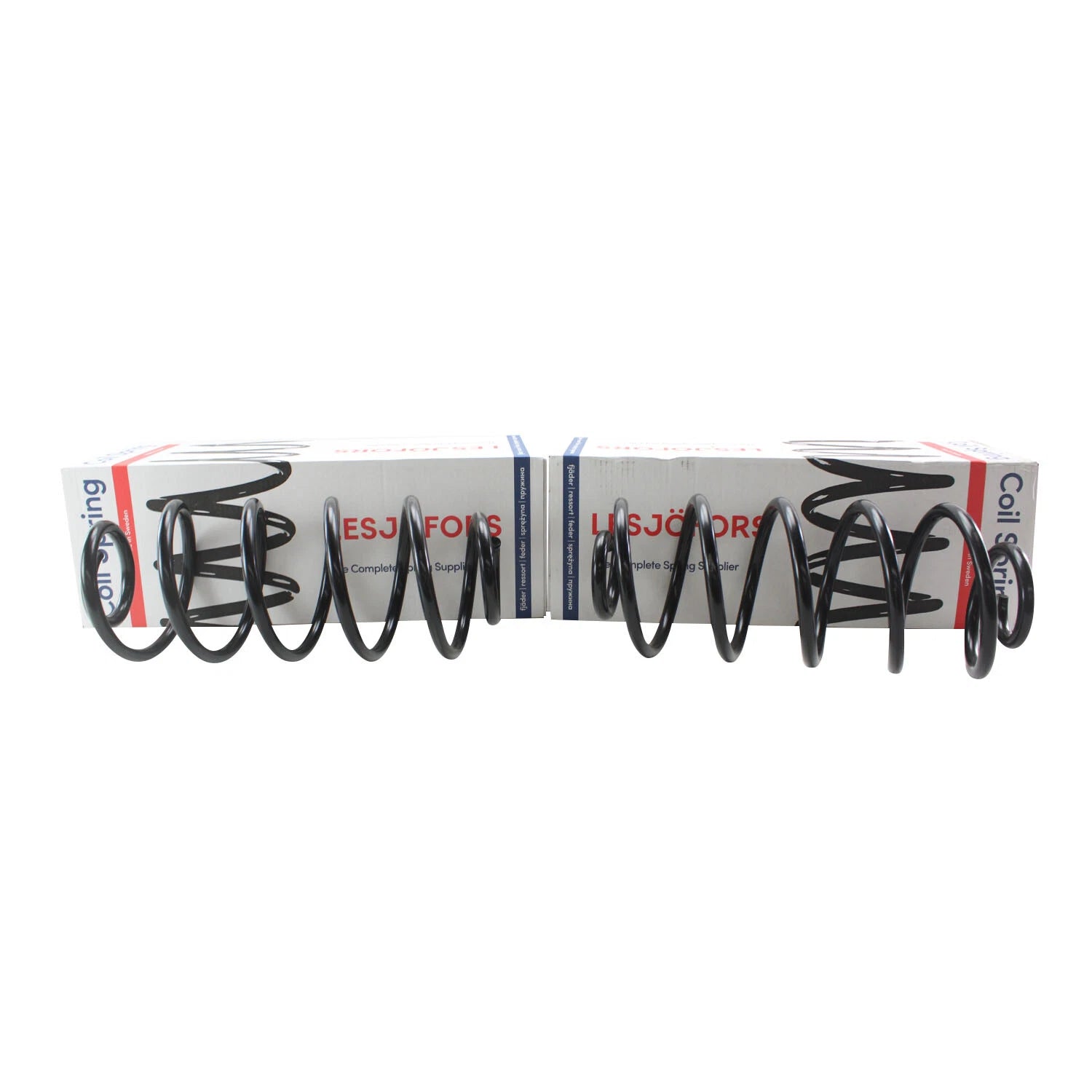 Rear Coil Spring Kit Heavy Duty for Buick Chevy Oldsmobile (4412103)
