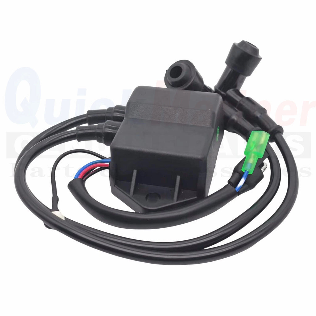 CDI Unit Ignition Coil for Suzuki Outboard 5HP 6HP 8HP (32900-98100, 32900-98101)